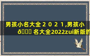 男孩小名大全２０２１,男孩小 🐒 名大全2022zui
新版的虎宝宝